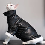 Thickened Coat Furless Cat Apparel Sphynx Cat Outfit Autumnwinter Style thumbnail 4