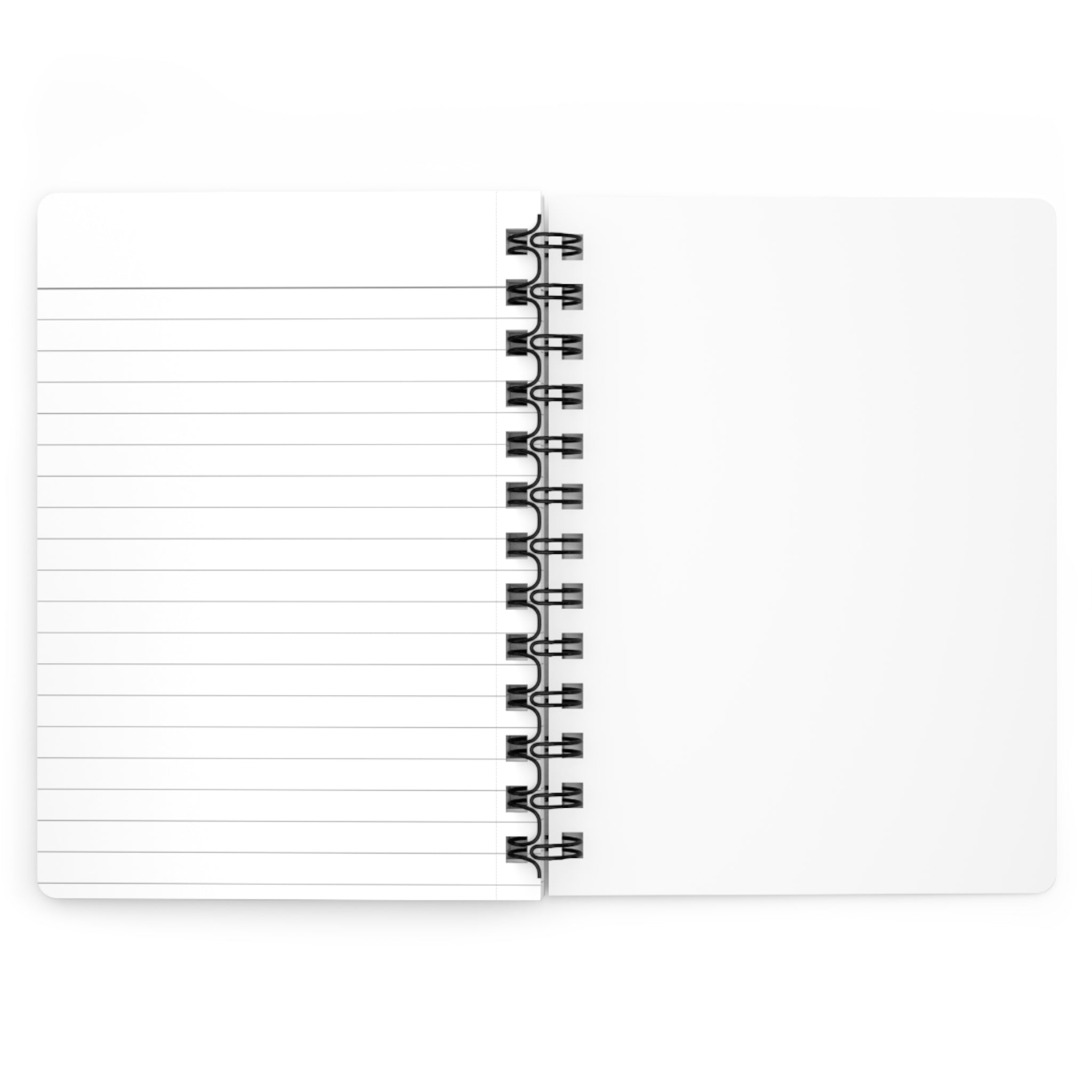 Spiral Notebook - "Dear Diary... Continued Decisions (Mostly Regarding Snacks)" Funny Journal for Teens & Adults