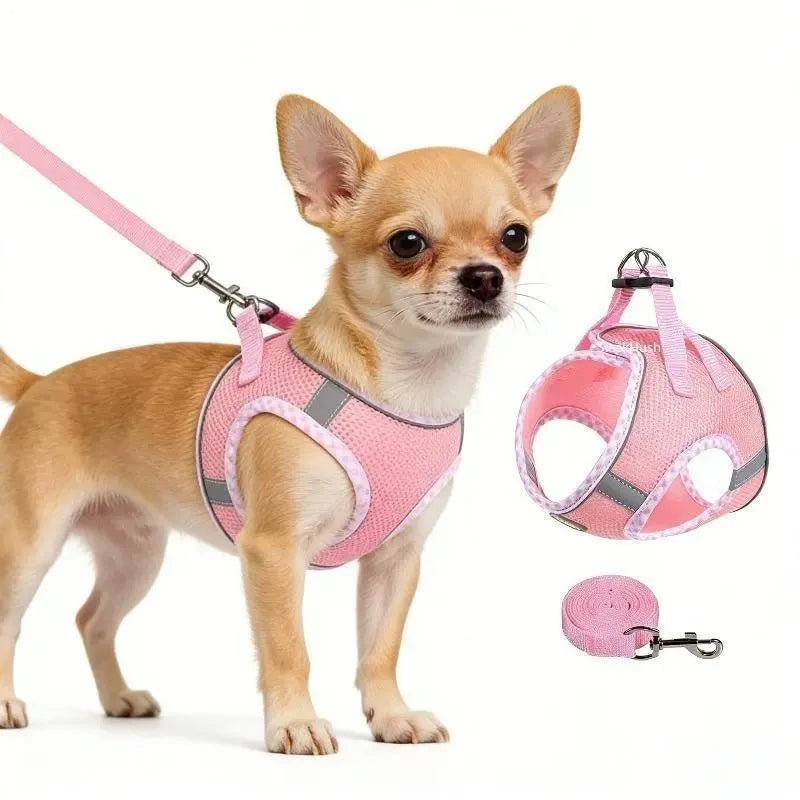 Adjustable No Pull Dog Harness Set