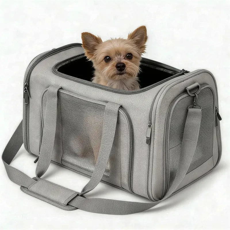 Collapsible Soft Pet Carrier