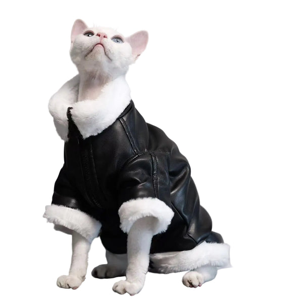 Thickened Coat Furless Cat Apparel Sphynx Cat Outfit Autumnwinter Style