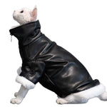 Thickened Coat Furless Cat Apparel Sphynx Cat Outfit Autumnwinter Style thumbnail 2