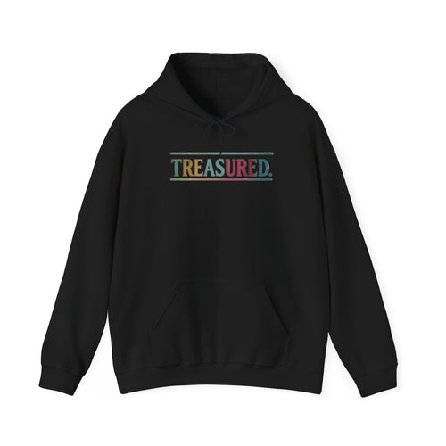 Treasured Hoodie — Colorblock 'TREASURED.' Graphic Hooded Sweatshirt