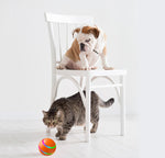 Intelligent Self-Rolling Cat Ball Toy | USB Rechargeable & Remote Control thumbnail 6