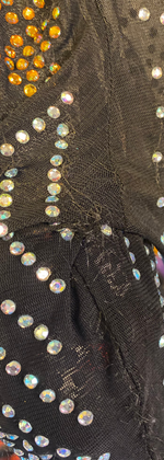 Embellished Mesh Long Sleeve Mini Dress thumbnail 6