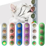 4-in-1 Catnip & Silver Vine Wall Ball | Teeth Cleaning, Digestive Health & Stress Relief for Cats thumbnail 3