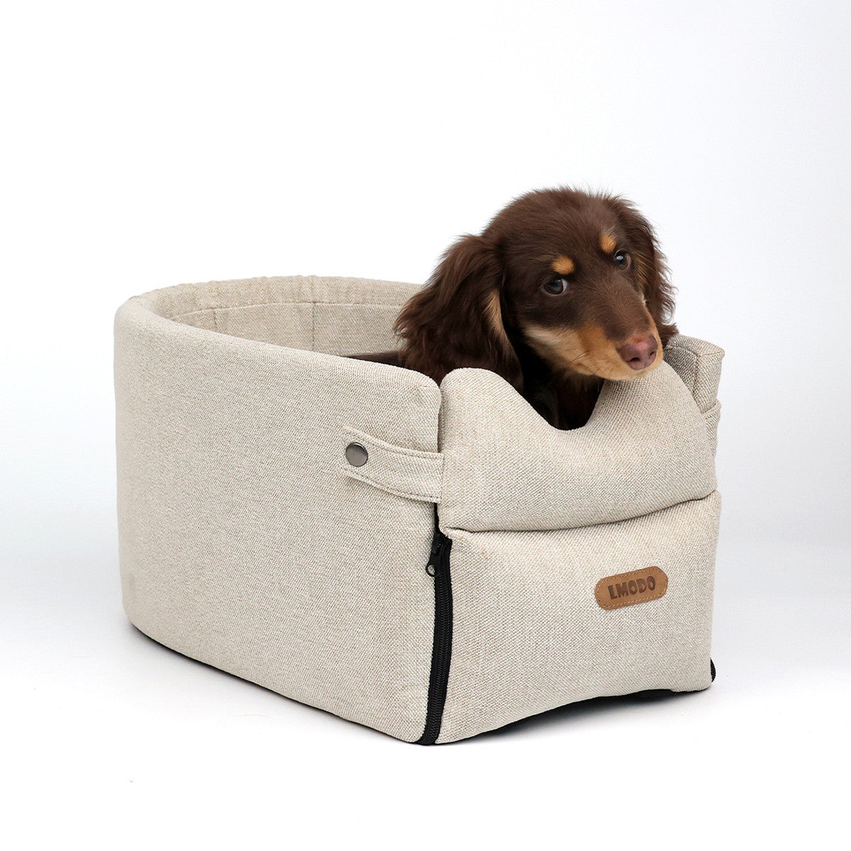 Dog sitting in a beige pet carrier with a white background