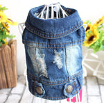 Twinning in Denim: Human & Pup Edition thumbnail 4