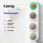 4-in-1 Catnip & Silver Vine Wall Ball | Teeth Cleaning, Digestive Health & Stress Relief for Cats thumbnail 10