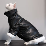 Thickened Coat Furless Cat Apparel Sphynx Cat Outfit Autumnwinter Style thumbnail 3