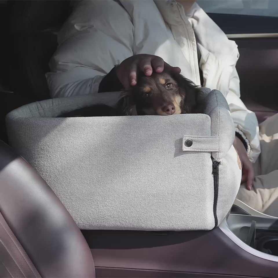Weekend Travel Buddies