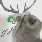 4-in-1 Catnip & Silver Vine Wall Ball | Teeth Cleaning, Digestive Health & Stress Relief for Cats